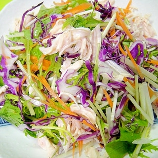 水菜とササミ紫キャベツのサラダ